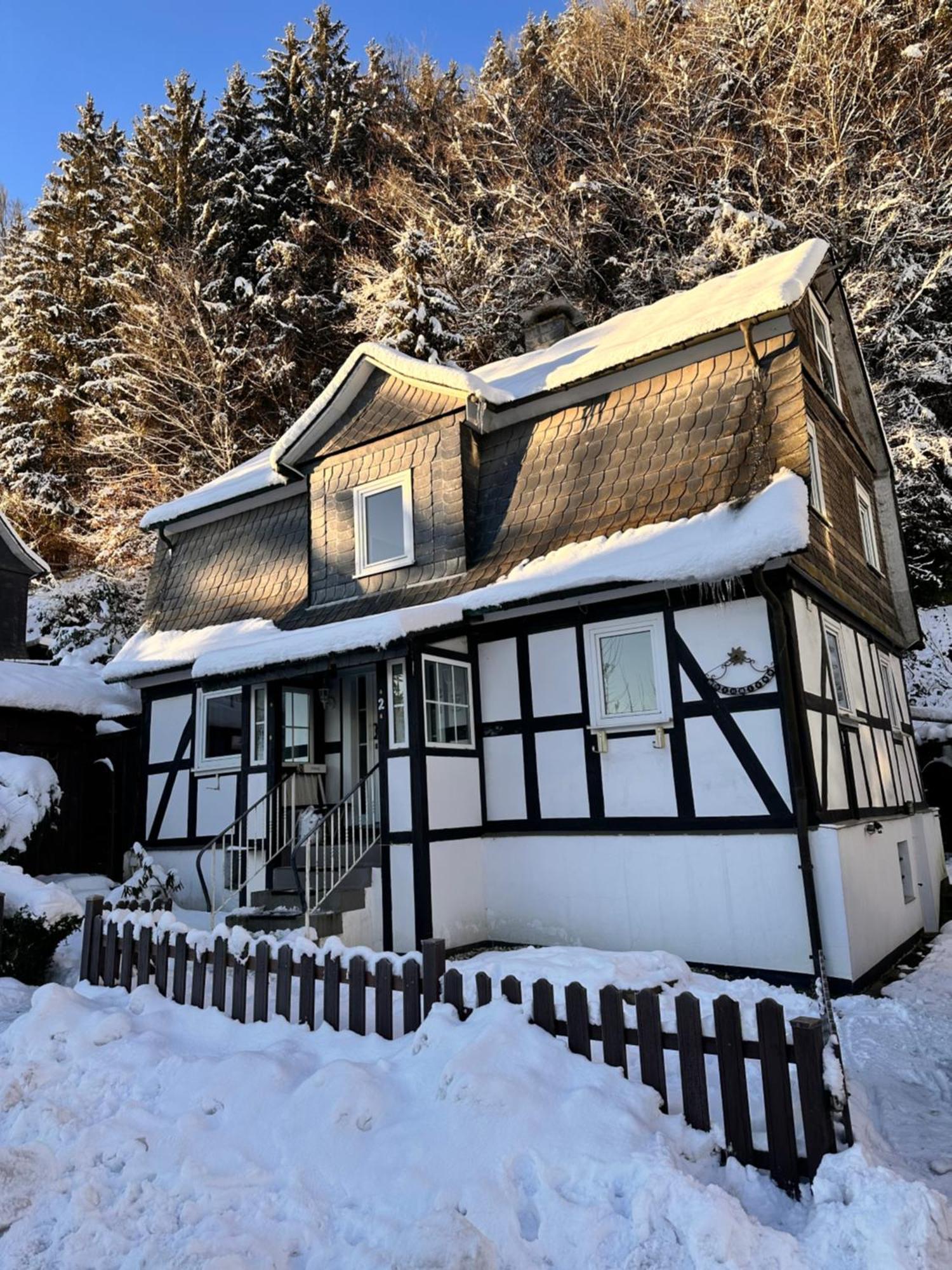 Ferienhaus Waldtraum Winterberg Exterior foto